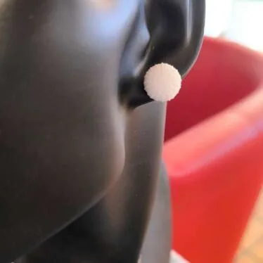Puces d&rsquo;oreilles Oursins blancs