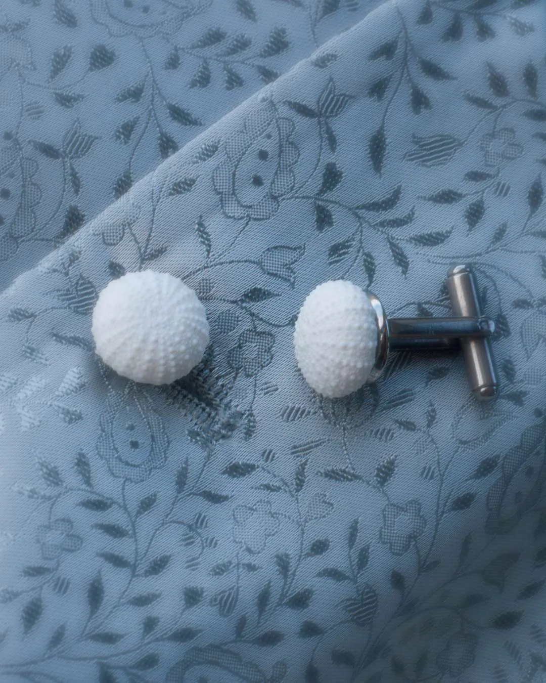 Boutons de manchette Oursins blancs