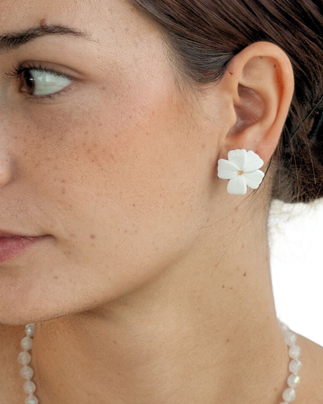 Puces d'oreille Sakura