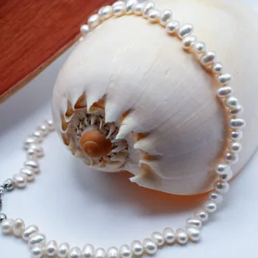 Collier de Perles nacrées
